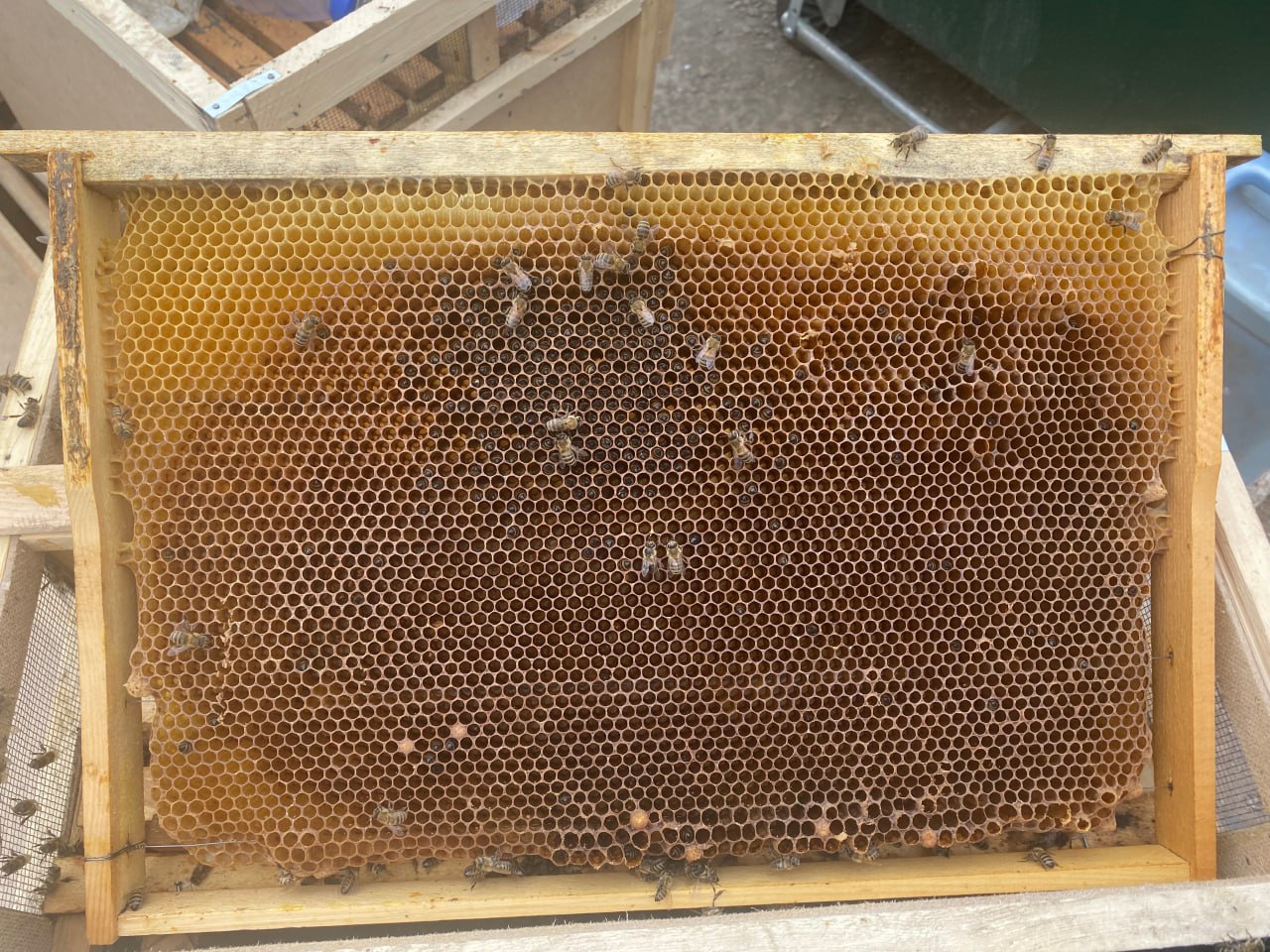 photo 2025 08 07 15 10 07