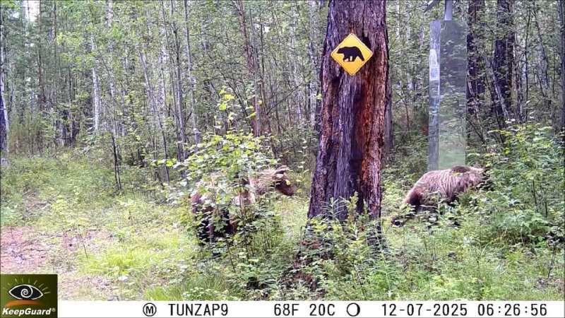 photo 2025 09 05 11 46 51
