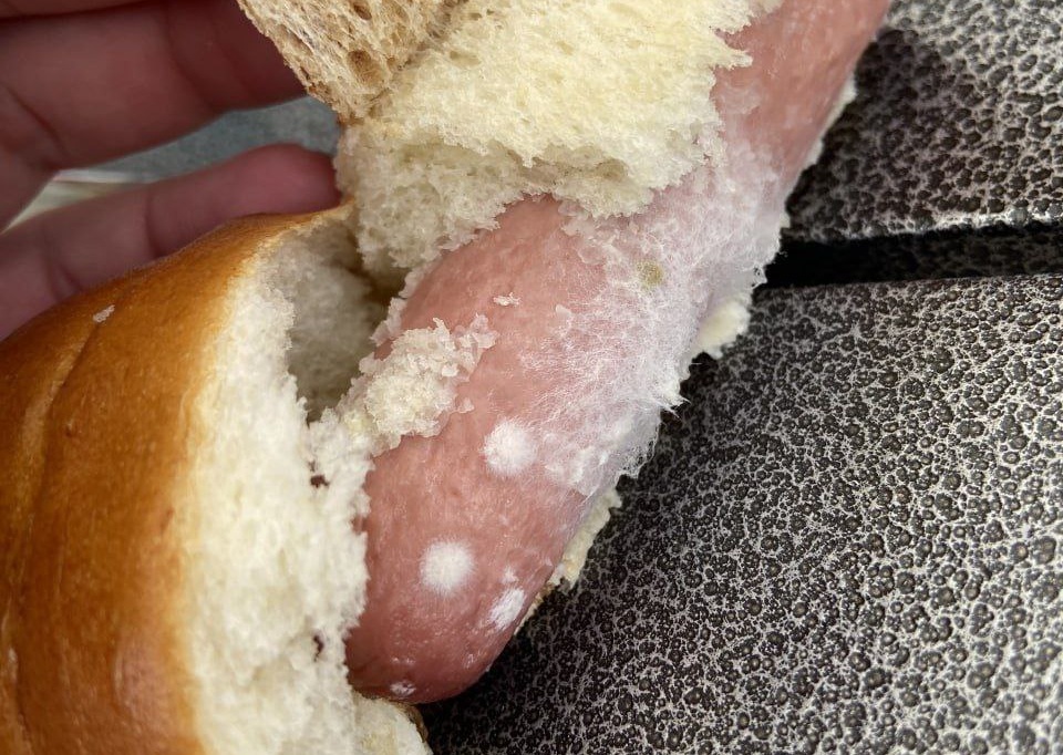photo 2025 09 24 16 32 23