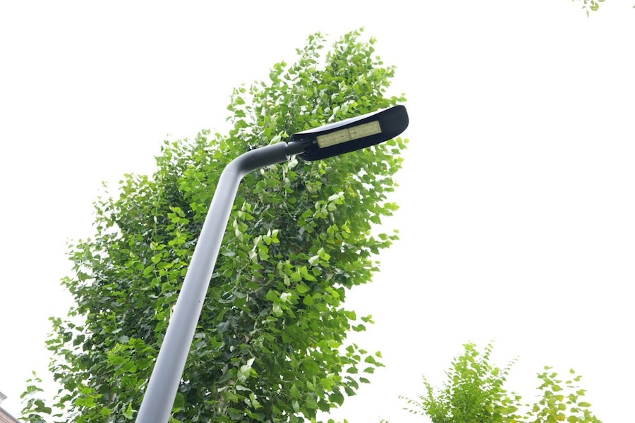 Фото: тг-канал "Мэрия Красноярска" 2025 11 22 12.25.09