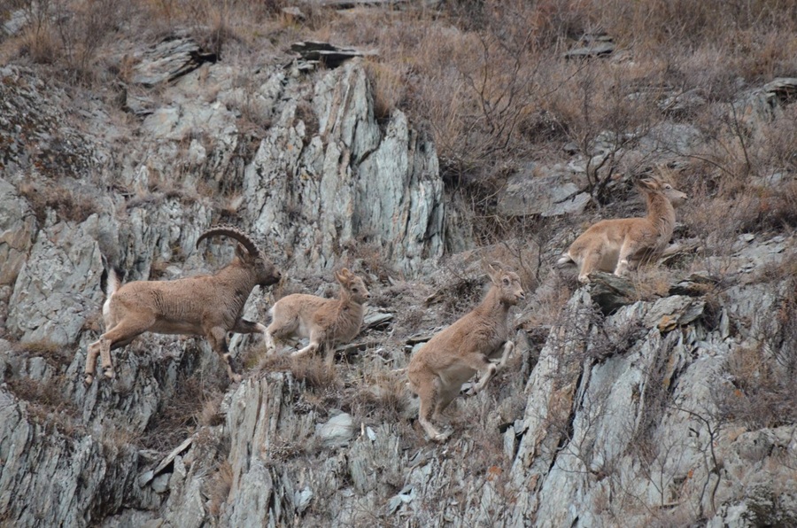 2d9d17e0 bde1 4ac2 b338 12cc956c3fe6