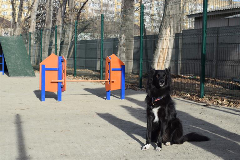 Фото: мэрия 1125 1