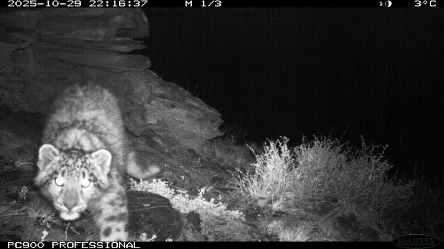 ea4e8f99 7b95 4d42 b298 294bbd32fba1