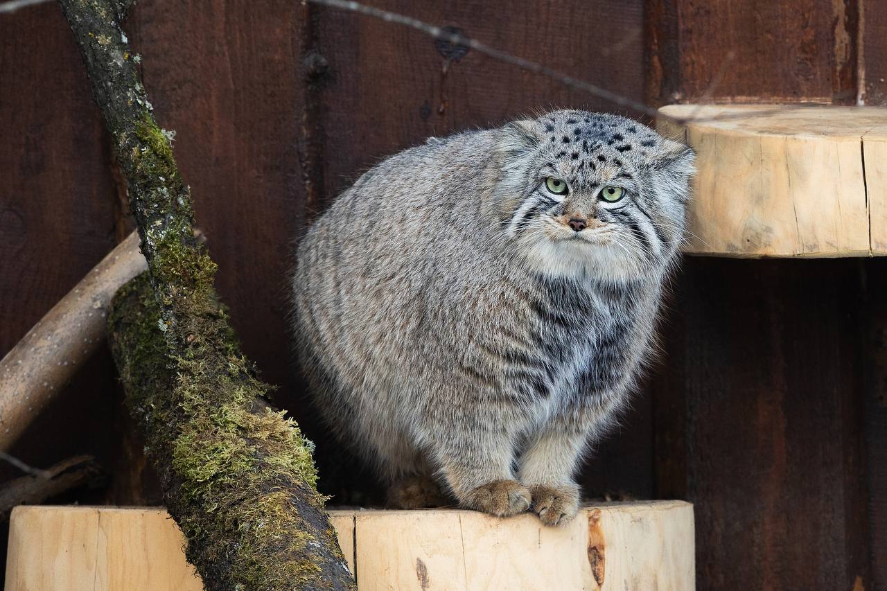 photo 2025 11 07 13 27 11