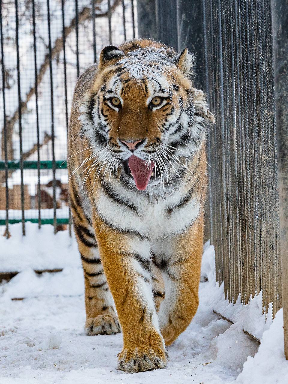 photo 2025 11 25 08 57 27