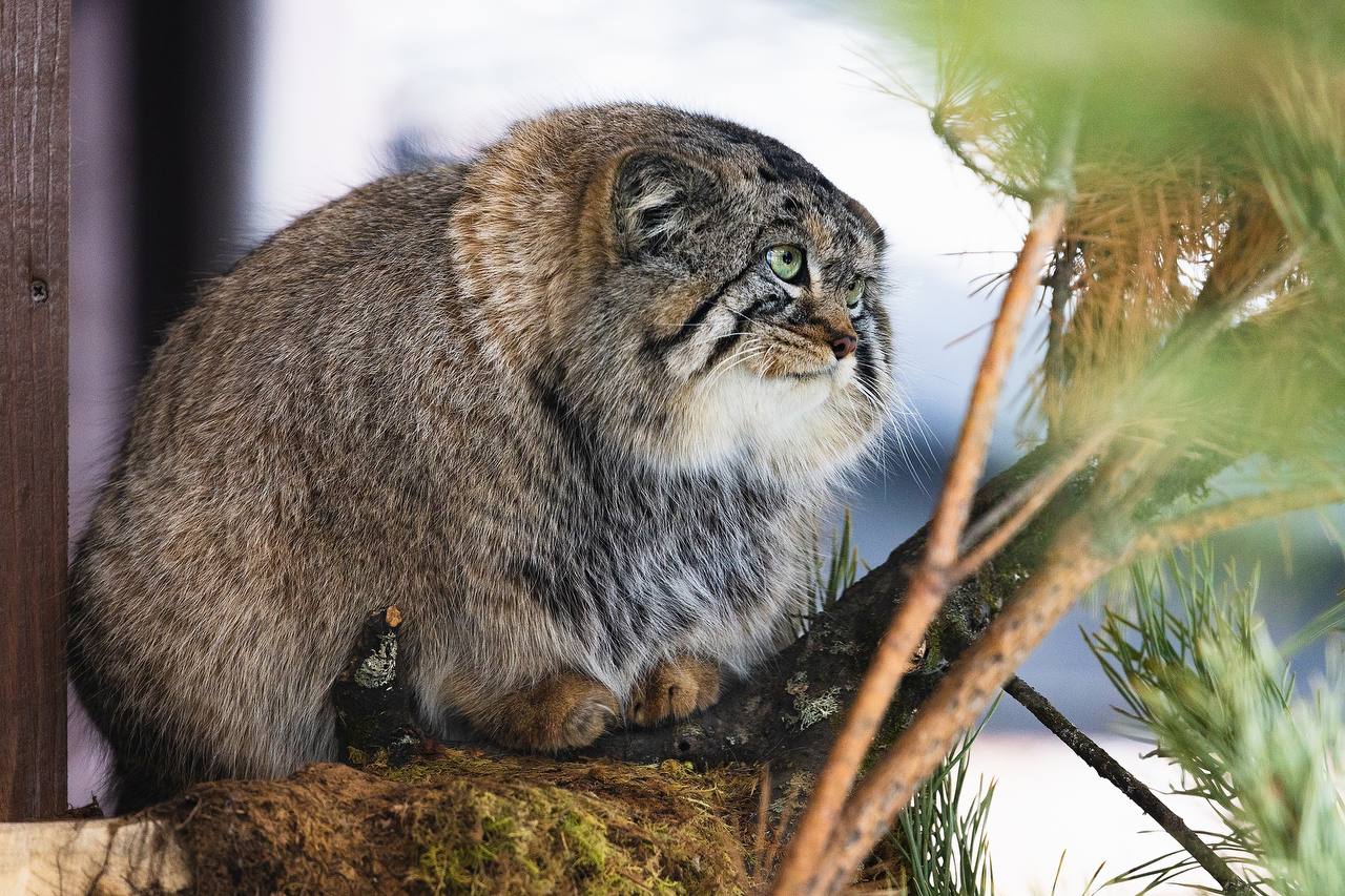 photo 2025 11 28 11 59 37