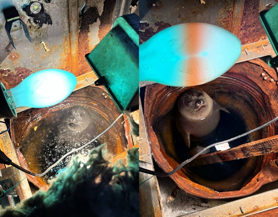 Фото: телеграм-канал Человек из Арктики / https://t.me/ArcticMann image21