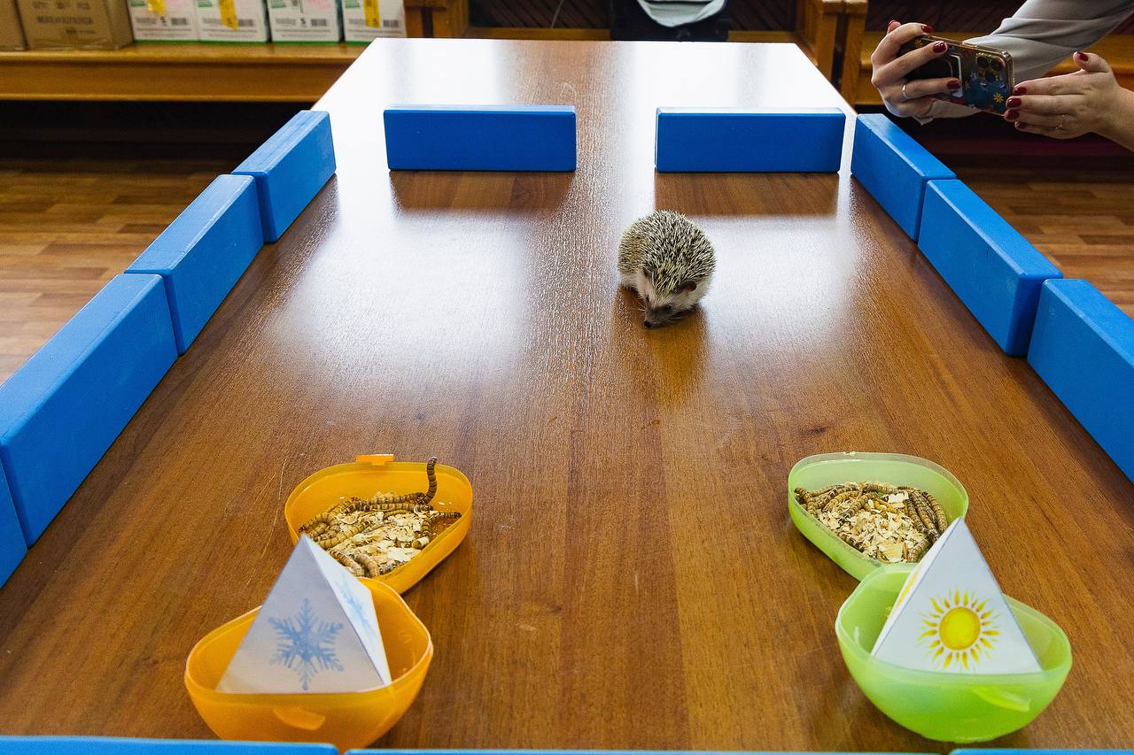 photo 2026 02 02 17 03 24