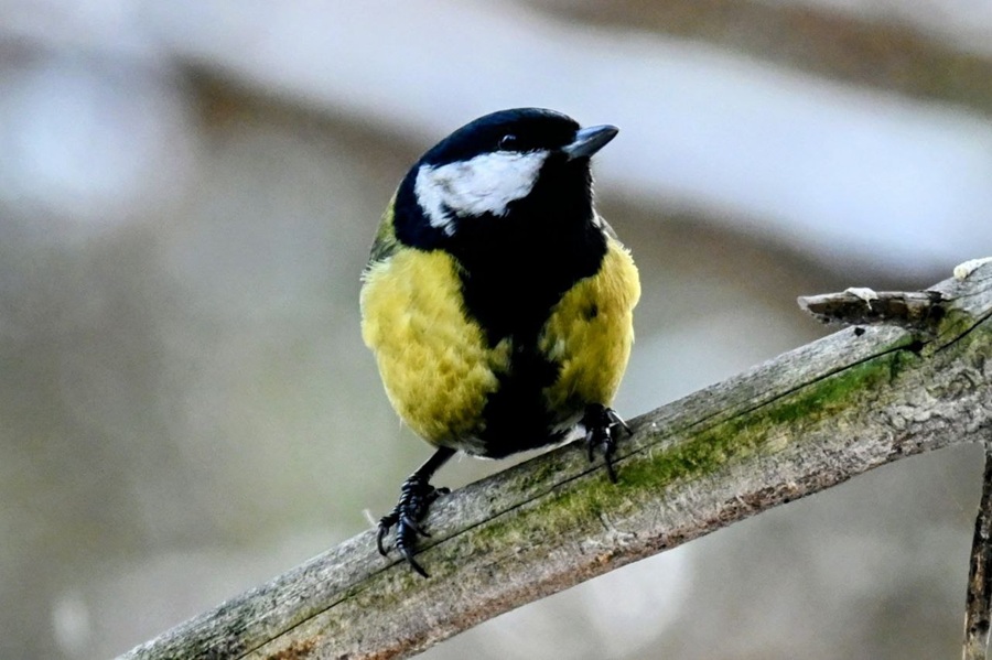 photo 2026 02 10 12 24 49