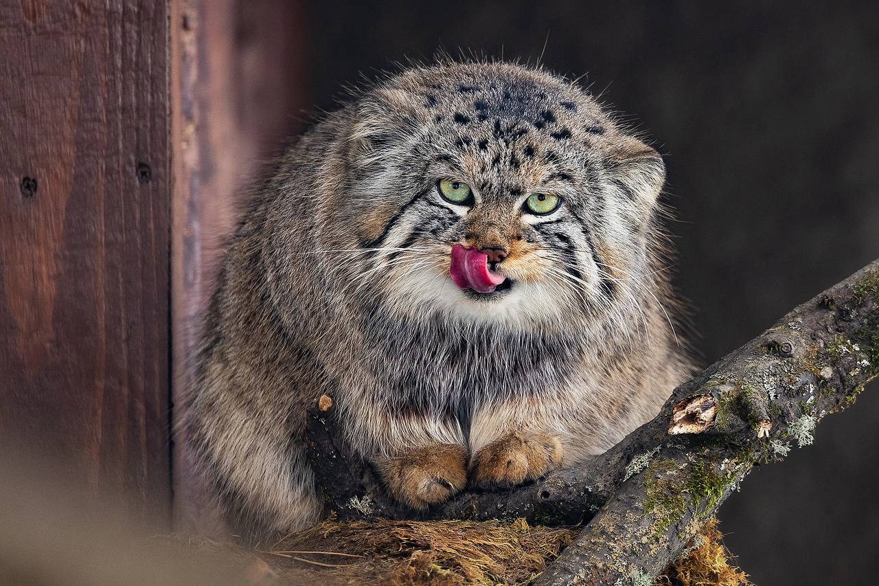 photo 2026 02 24 09 18 45