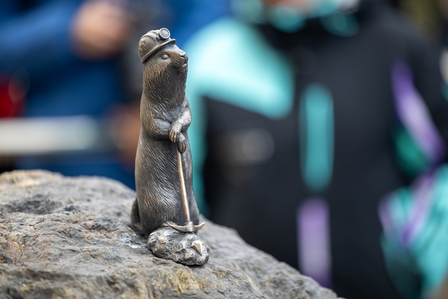 photo 2026 03 18 14 25 16