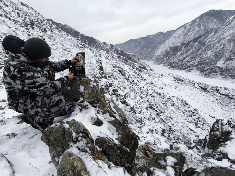 2188e0e8 7171 4e0d 97bc c355a70846d1