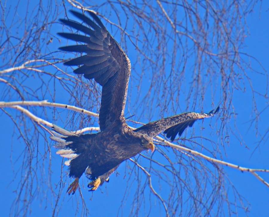 XiGRrKU4jLjJmCnqrwjtHaNxc75mCr5MKtqW9TrxKOsNeM9xeHek2NA8FgoHh98tdll2cpX5W3yDFddmcvXsQo4o