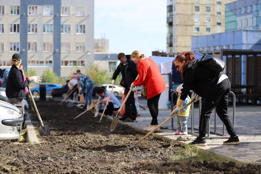 День двора в Норильске: сеяли газоны, высаживали цветы и по-соседски общались