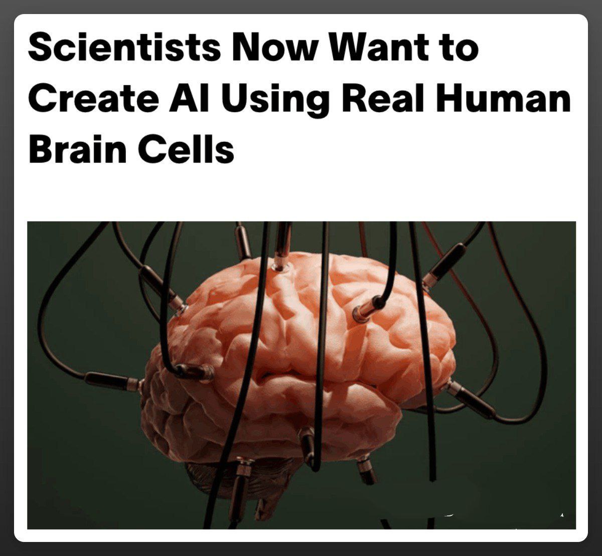 Учёные США залезают глубже в мозг