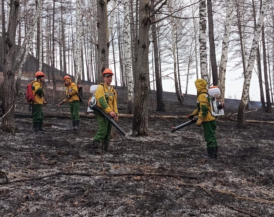 Пожарные спасли лес в Шарыповском округе