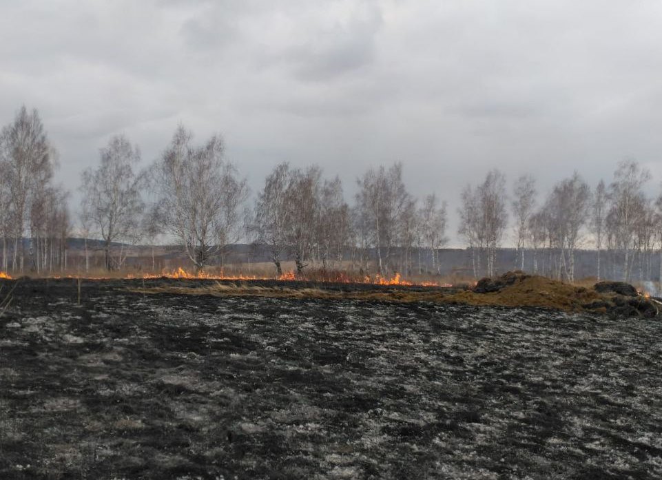 В Канском районе потушили лесной пожар