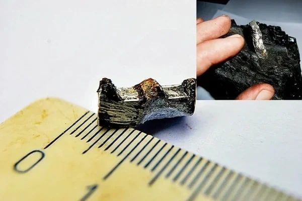 Житель Владивостока нашел зубчатую деталь, которой 300 миллионов лет