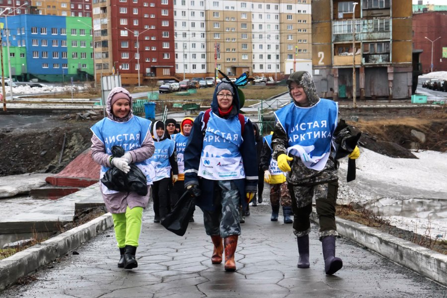 В Едином арктическом субботнике – 2023 приняли участие более 500 волонтеров