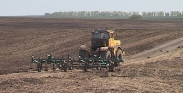 Агрохолдинг «Сибагро» в Назаровском районе начал посевную