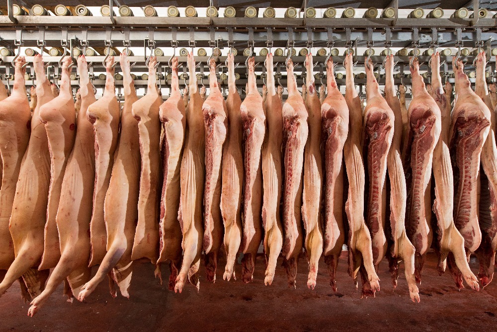 Свинокомплекс «Сибагро» в Красноярске отправил партию свинины в Киргизию