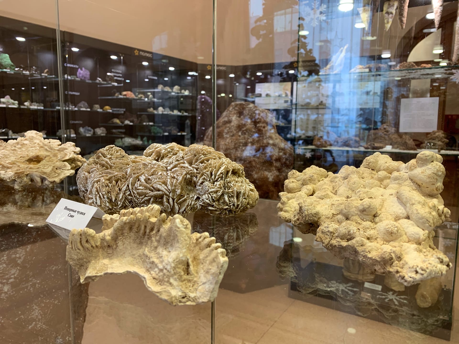музей геологии центральной сибири красноярск
