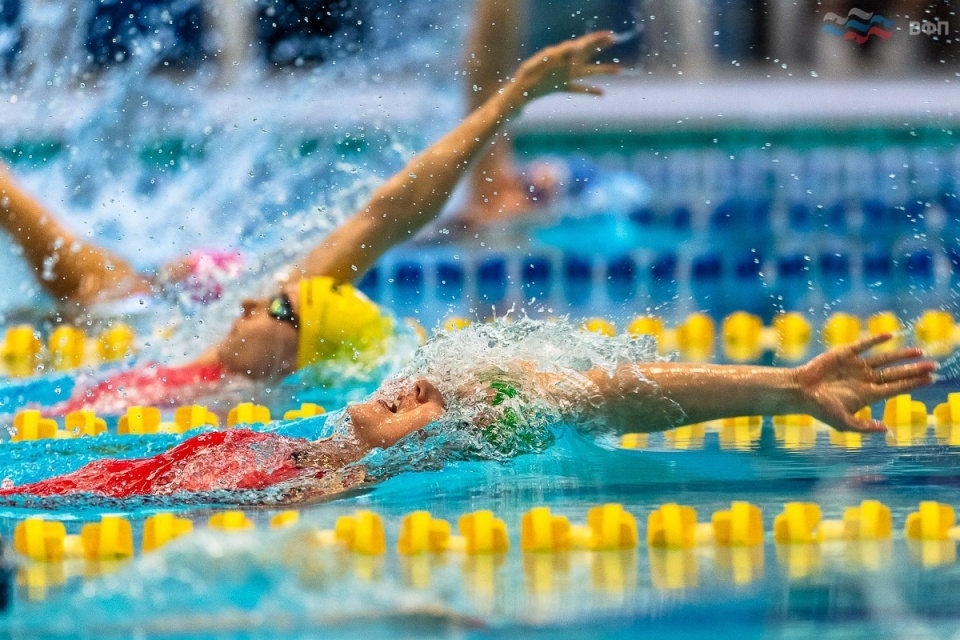 Четыре красноярских пловца взяли 10 медалей отборочного этапа Кубка России