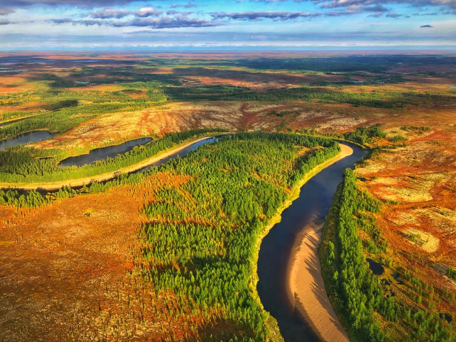В Красноярском крае создана цифровая карта растительного покрова Таймыра